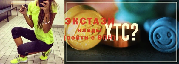 ECSTASY Инсар
