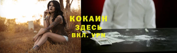 соль ск Зеленокумск