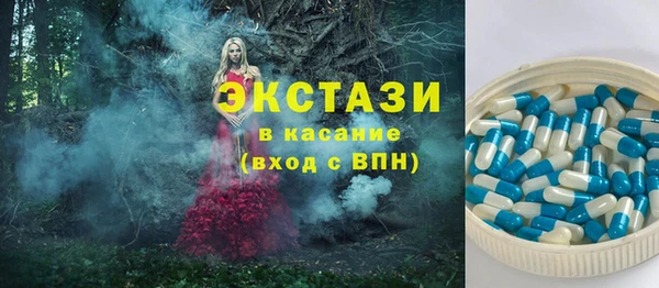 ECSTASY Инсар