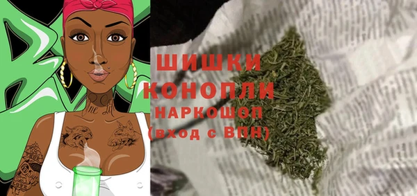 ECSTASY Инсар