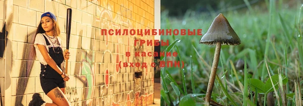 кокс Каменногорск