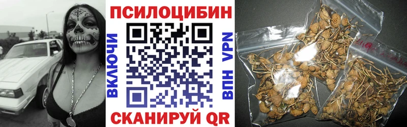 Псилоцибиновые грибы мухоморы  Купить где  Карабаново 